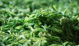 茶叶 短视频,短视频带你领略茶叶魅力之旅