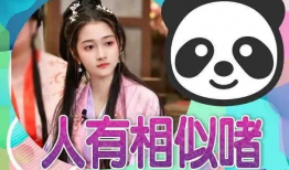 真实吃瓜爆料小说推荐,那些你不知道的幕后真相与八卦风云